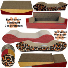 Cat kitten cardboard for sale  CREDITON