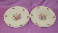 Coppia piatti ceramica usato  Galliate