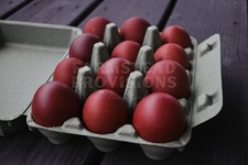Chocolate eggers black for sale  Berne