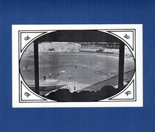 Left center field for sale  Edmonds