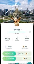 Pokémon Go - Eevee Background City Safari - Troca (não brilhante) comprar usado  Enviando para Brazil