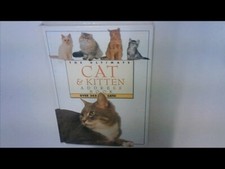 Ultimate cat kitten for sale  UK