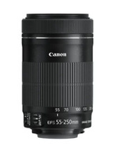 Canon 250mm 5 usato  Torre Orsaia