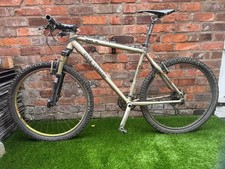 rock lobster for sale  KNUTSFORD