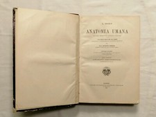 Medicina embriologia urogenita usato  Torri del Benaco