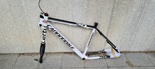 Cannondale flash carbon gebraucht kaufen  Bielefeld