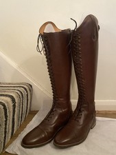 Premier equine maurizia for sale  WELLINGBOROUGH