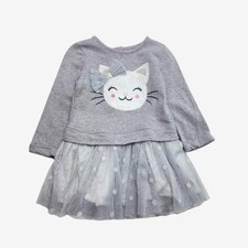 Monsoon grey kitten for sale  ANDOVER