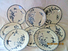 Assiettes plates service d'occasion  Cagnac-les-Mines