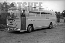 Larger negative creamline for sale  HIGH WYCOMBE