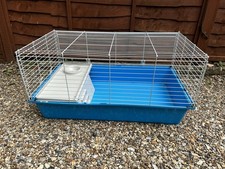 Rabbit guinea pig for sale  CANTERBURY