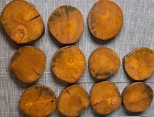 11pc log slices for sale  Novelty