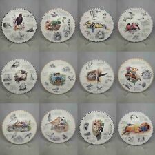 Choice plates birdwatcher for sale  SLEAFORD