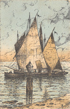 Al20 cartolina illustrata usato  Lugo