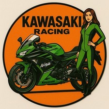 Inches kawasaki girl for sale  Buffalo Grove