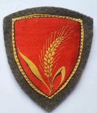 Scudetto omerale brigata usato  Italia