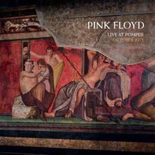 Pink floyd live usato  Castellabate