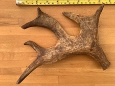 Antler dog chew. for sale  BOGNOR REGIS