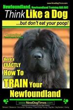 Newfoundland newfoundland trai for sale  Logan