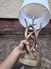 Pair caribou antler for sale  MINEHEAD