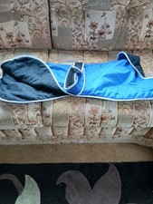 Greyhound lurcher saluki for sale  PONTYCLUN