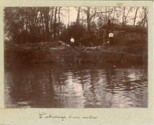 Abattage arbre ca.1903 d'occasion  Pagny-sur-Moselle