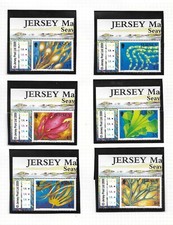 Jersey 2009 marine for sale  AMERSHAM