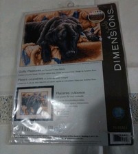 Labrador dog cross for sale  STOKE-ON-TRENT