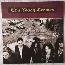 The black crows usato  Marsciano