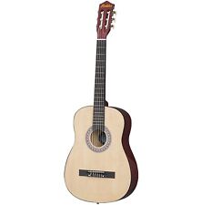 Audster acoustic guitar for sale  North Tonawanda