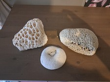 Coquillage collection 3 d'occasion  Chaumont