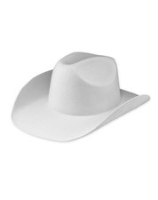 Lone ranger lone for sale  Gilberts
