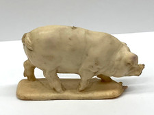Beige miniature pig for sale  Parsippany