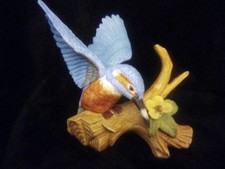 Collectible porcelain kingfish for sale  SHEFFIELD