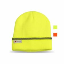 Vis viz beanie for sale  LINCOLN