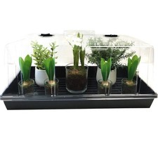 Extra strength holes for sale  River Grove
