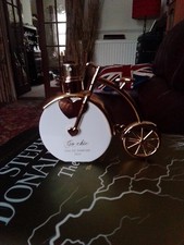 Chic collectable penny for sale  SPALDING