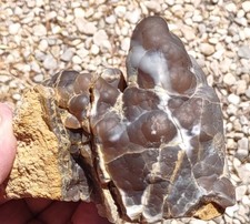 green petrified wood for sale  Hesperia