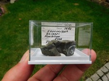 Trilobit conocoryphe sulzeri gebraucht kaufen  Limbach-Oberfrohna