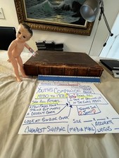 Youth companion huge for sale  Elmhurst