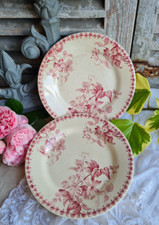Anciennes assiettes plates d'occasion  Le Poinçonnet