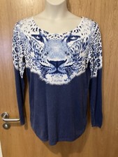 Blue white tiger for sale  CHORLEY