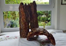 Höhle baum rinde gebraucht kaufen  Unterreichenbach