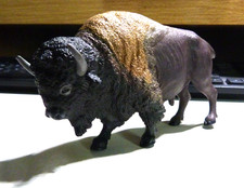Brown american buffalo for sale  Pocatello
