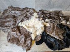 Lot real rabbit for sale  Casper