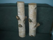 Birkenstämme holz deko gebraucht kaufen  Willebadessen