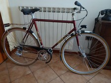 Bicicletta city bike usato  Rovigo