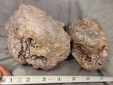 Terrific limb cast for sale  Cary