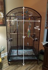 Dome style parrot for sale  Sicklerville