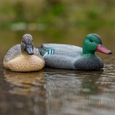 Floating male female for sale  GREAT YARMOUTH